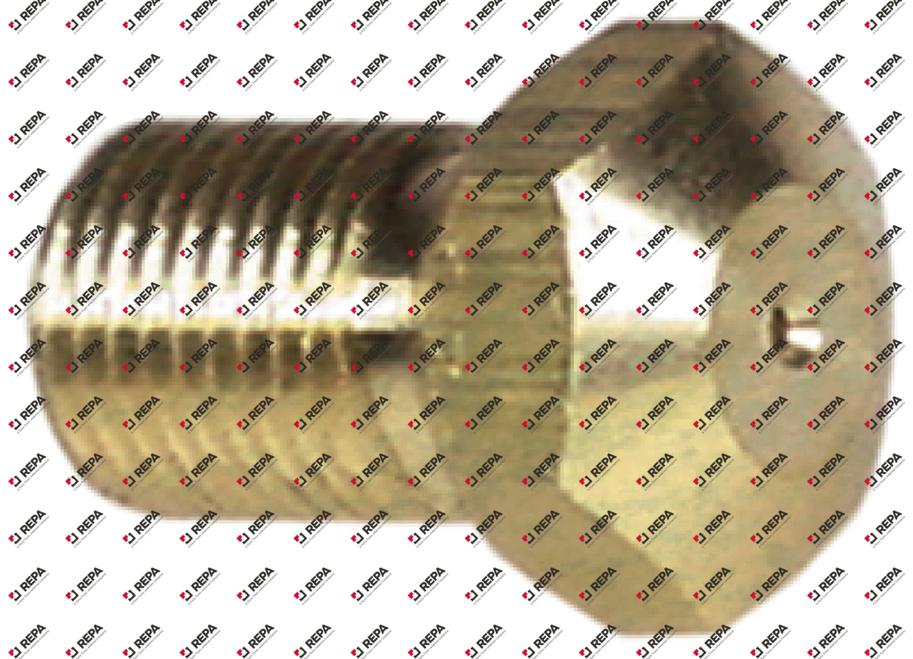 Gas injector thread M10x1 WS 13 bore ø 1,7mm