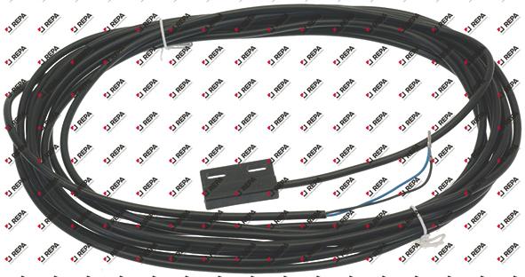 Magnetschalter 250 V 0,04 A 10 W Anschluss Kabel