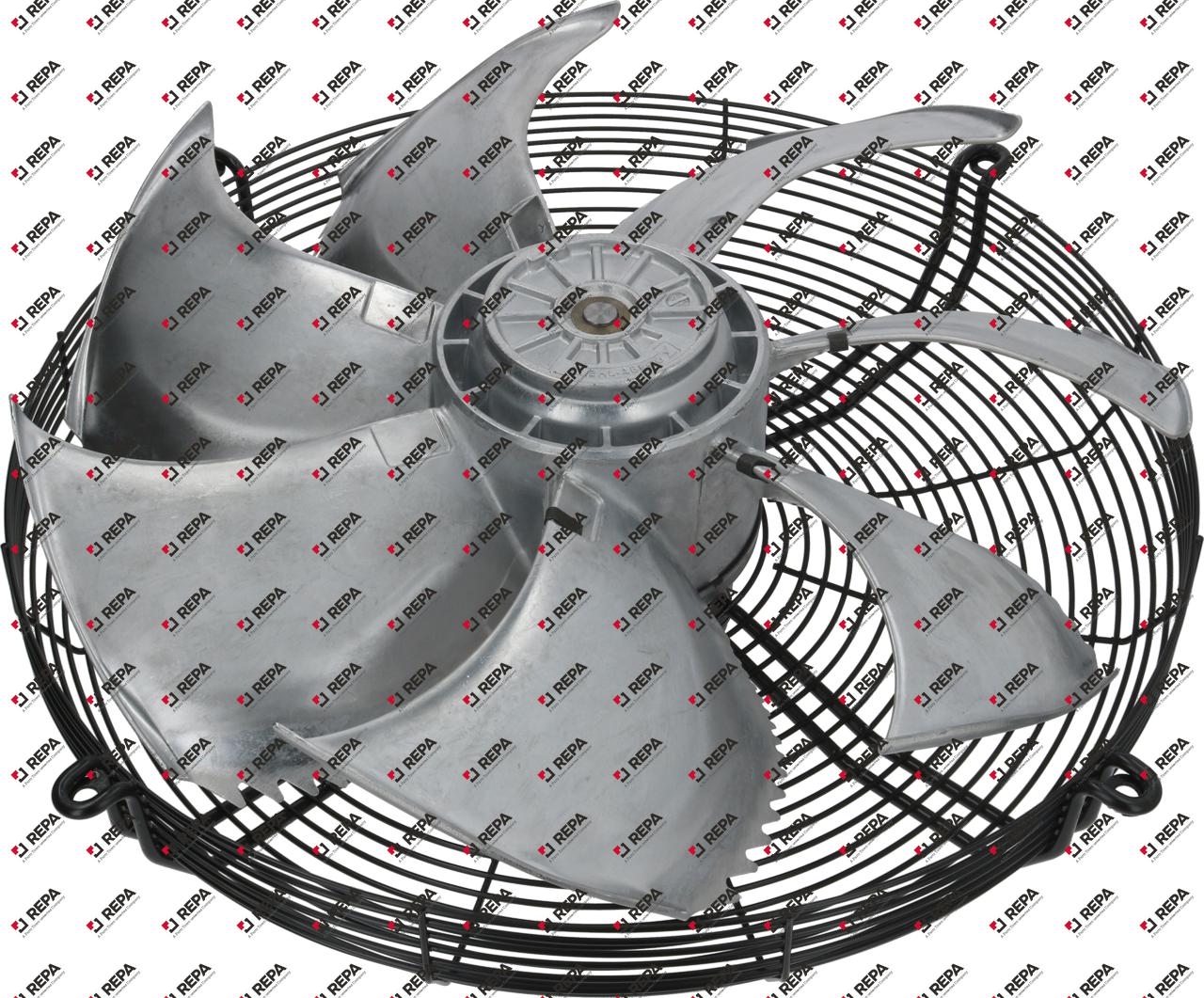 Fan