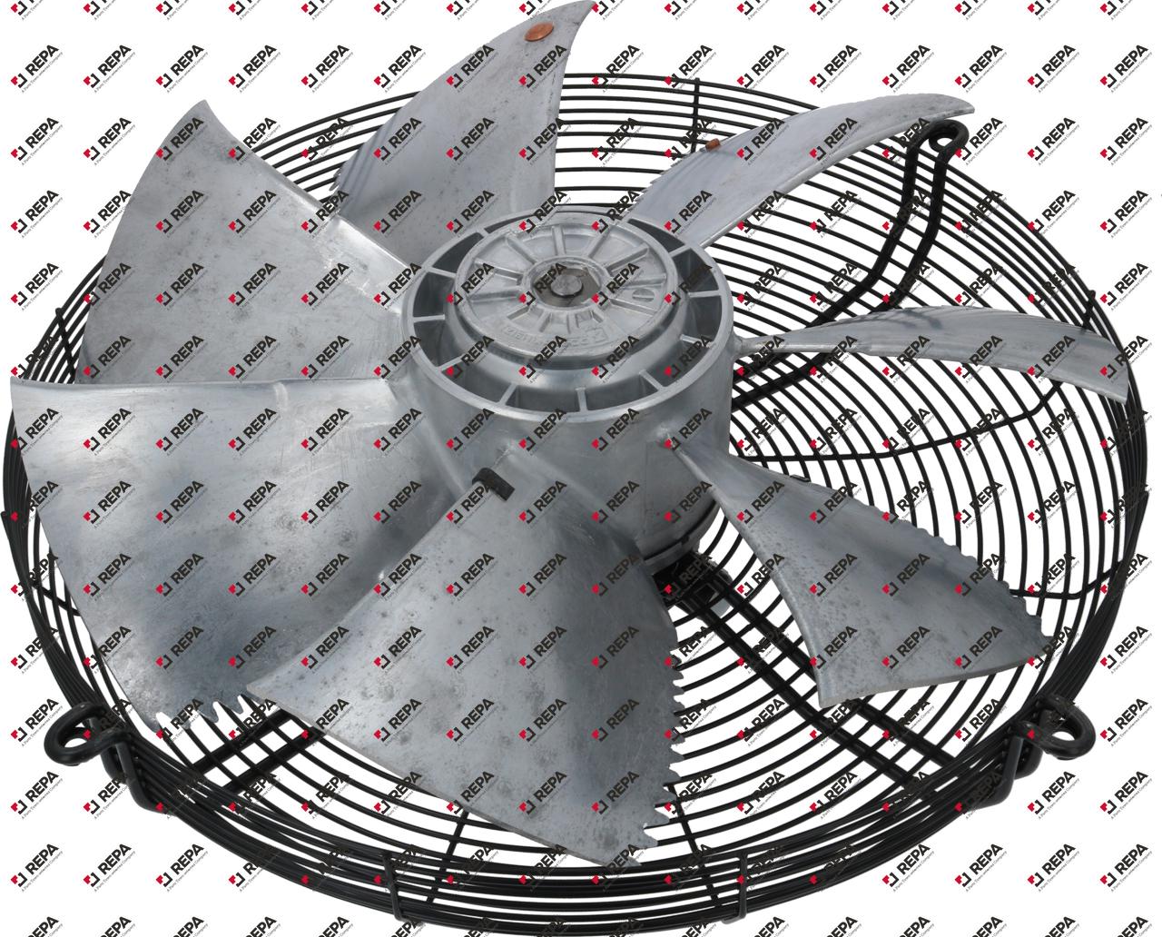 Fan