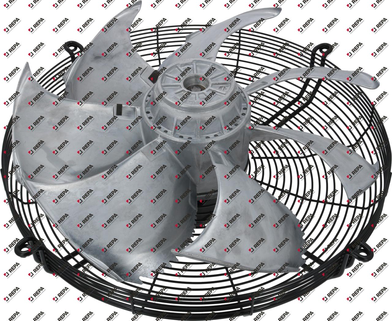 Fan