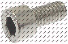 Screw