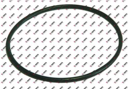 O-Ring EPDM Materialstärke 2,62 mm ID ø 55,25 mm