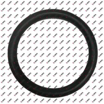 O-RING GASKET Ø44x6mm EPDM                   