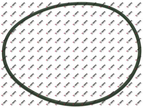 GUARNIZIONE ORM 0680-20 EPDM