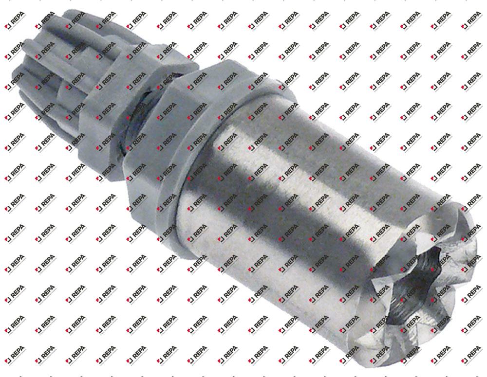 container filter with non-return valve SS