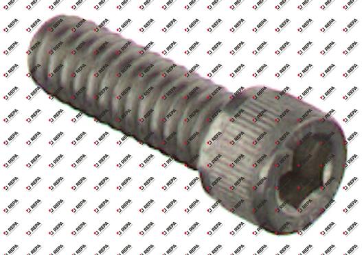 SCR-CAP, SKT, 1/4-20X3/4, SST 316