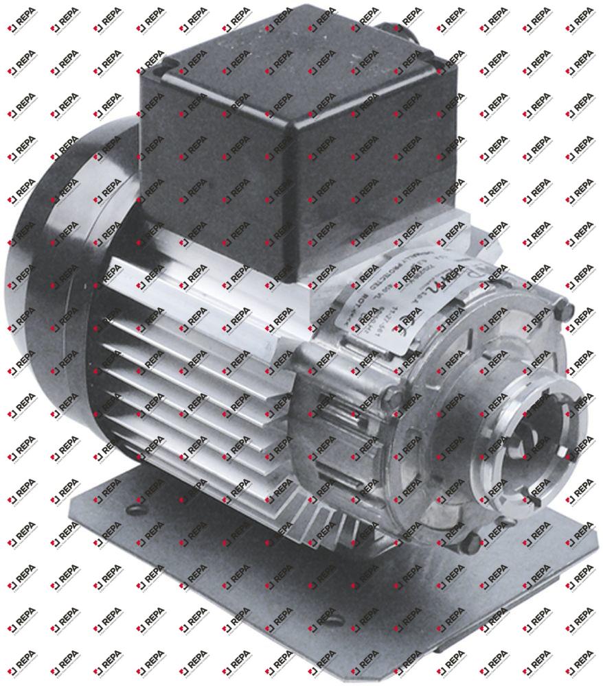 PUMPENMOTOR | RPM TYP C040800 | 165W - 230V~ | SCHELLENFLANSCH | FÜR, 185,95