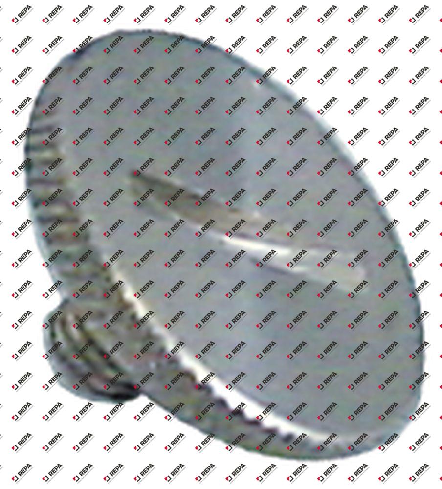 Rändelschraube Gewinde M5 CNS ø 20 mm H 3 mm