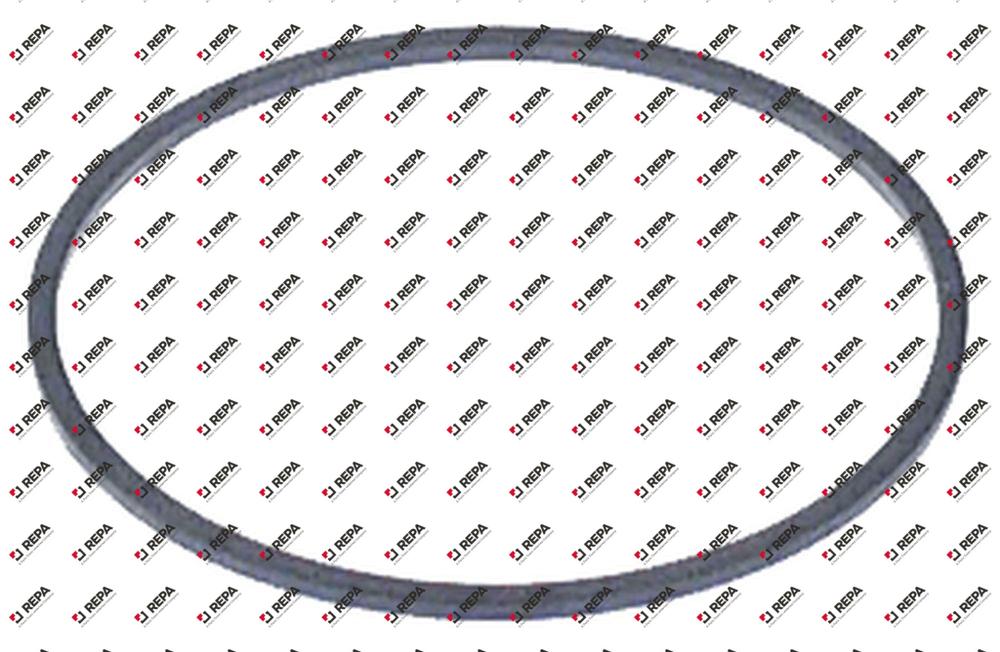 Dichtung Kunststoff AD ø 52,2mm ID ø 48,4mm