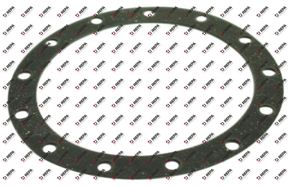 φλάντζα μπόιλερ FIBER  ø D1 220mm ø D2 176mm πάχος 2mm κατάλληλο για RANCILIO  13 οπές