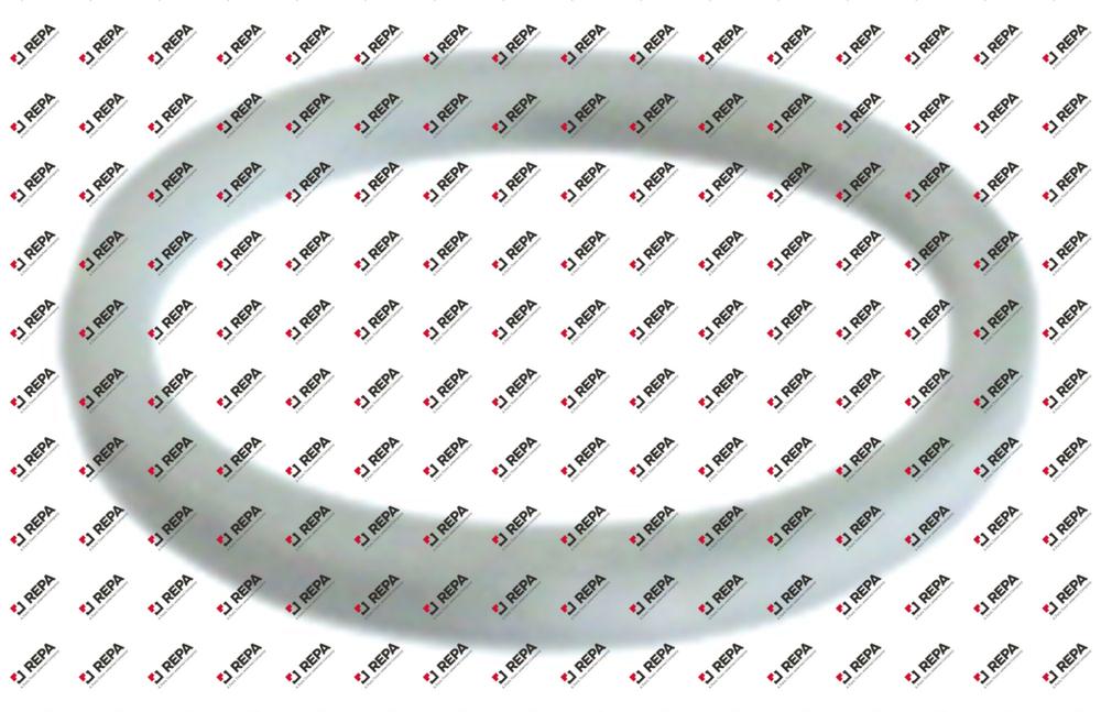 flat gasket PTFE ED ø 20mm ID ø 17mm thickness 2mm