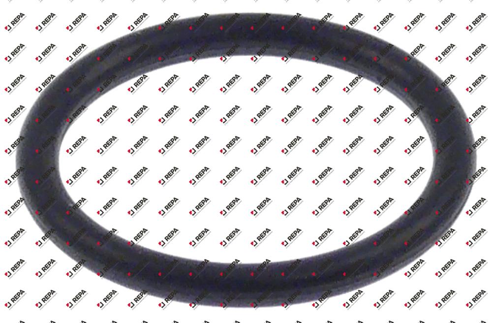 O-Ring