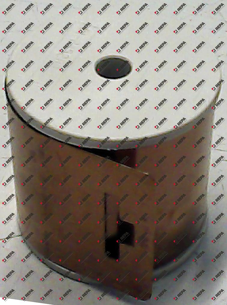 DOOR SPRING