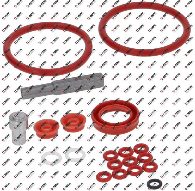 Repair kit for group for Jura with lip seal