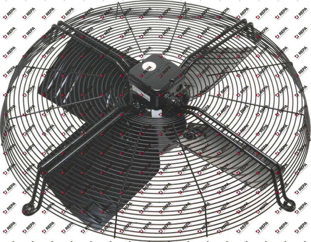 Fan