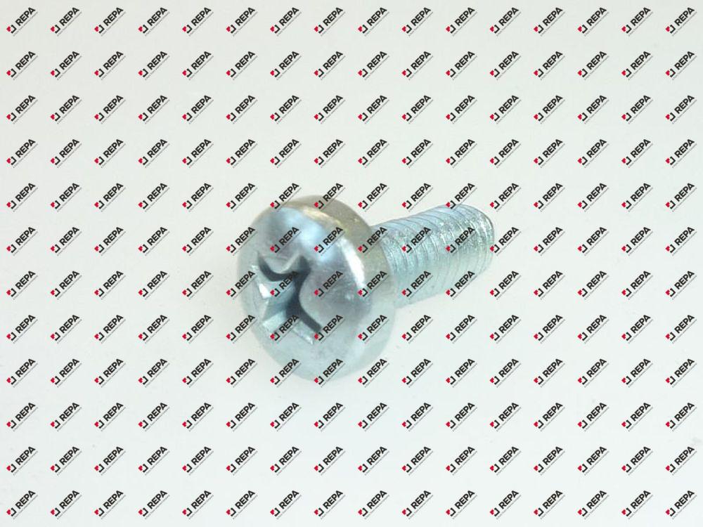 Screw