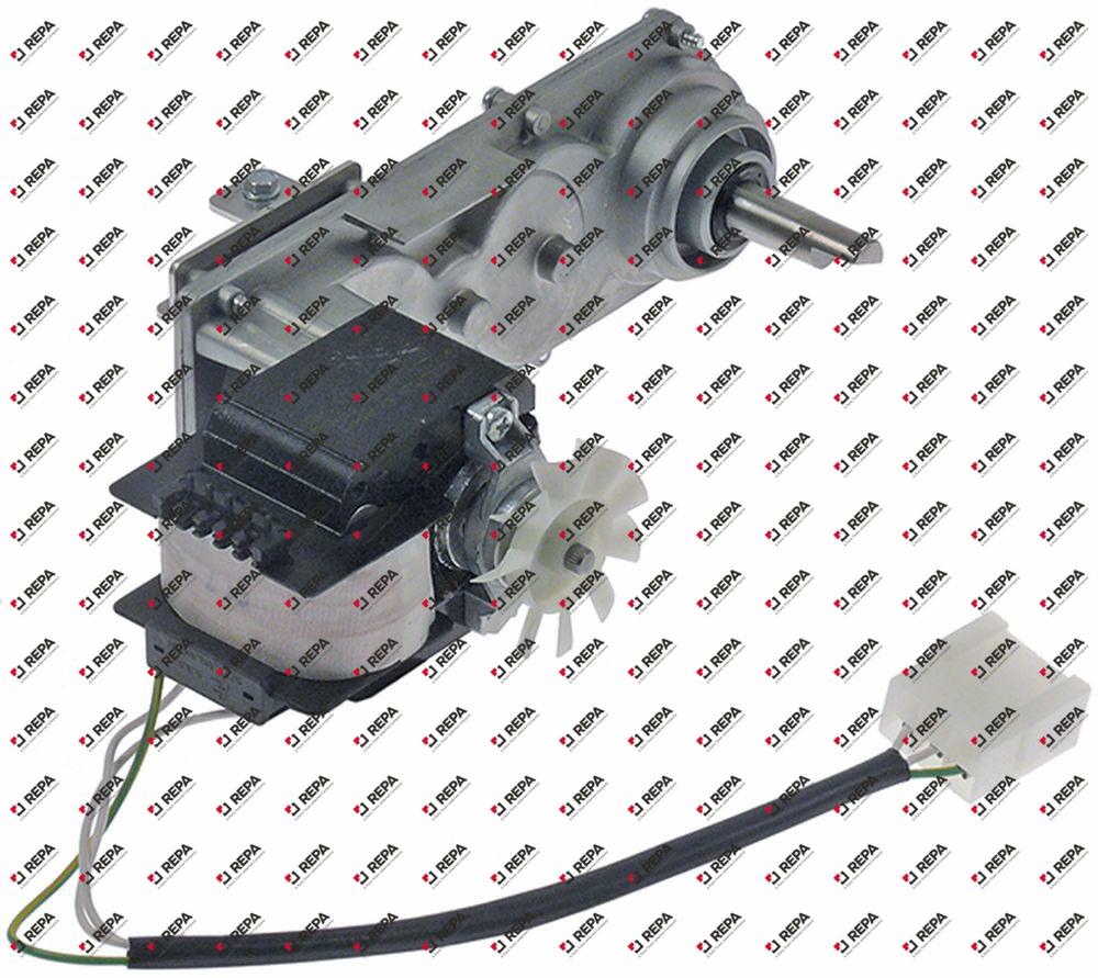 gear motor