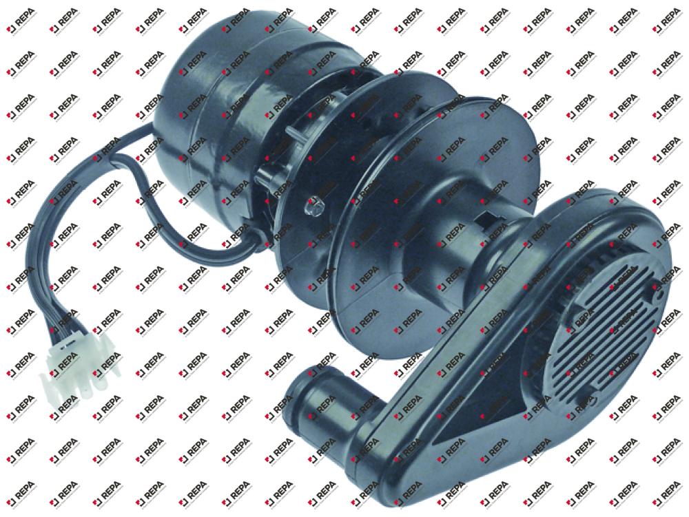 Pumpe Wasser 230V 50Hz