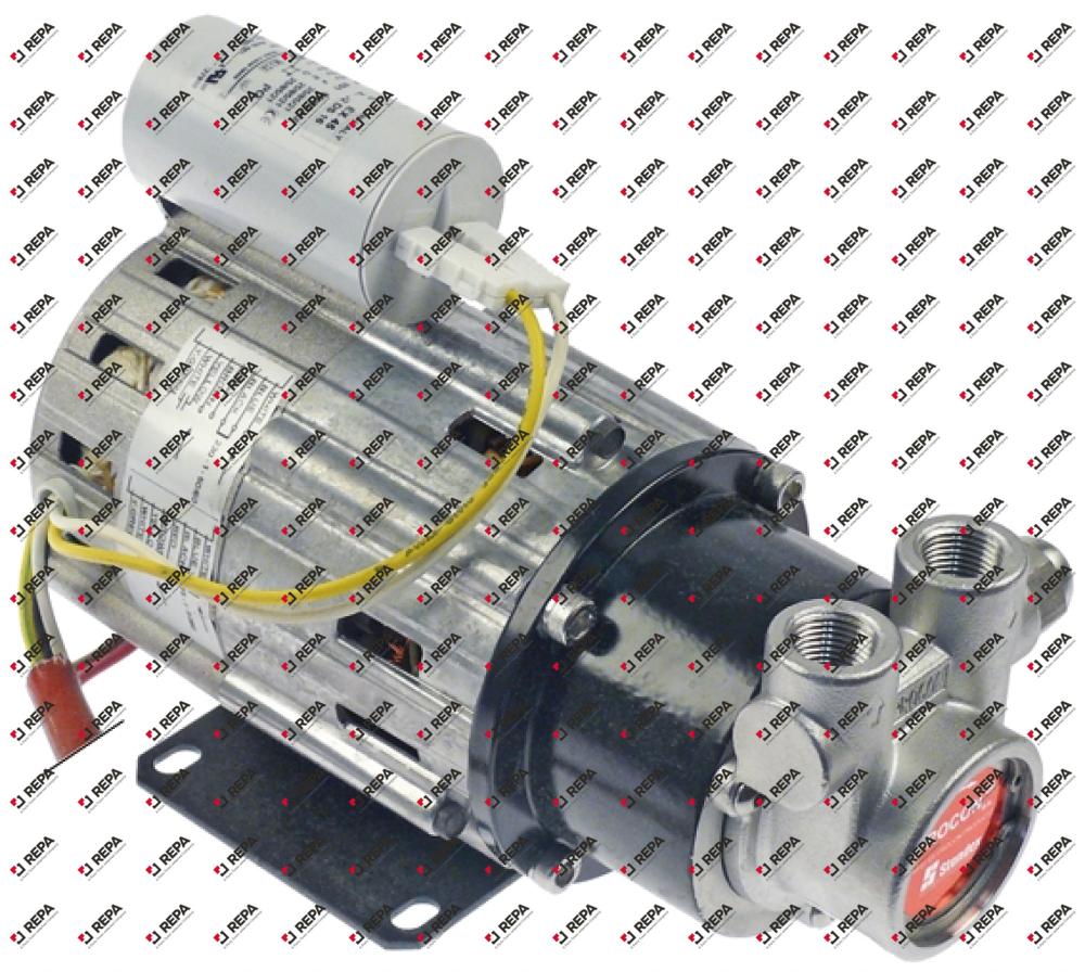 Motor 208-230V 50-60Hz mit Pumpe