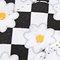 wht/daisy/check