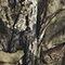 Mossy Oak