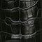 Black Croco