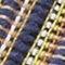 Navy Multi