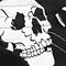 Suede Skull B/W