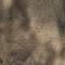 Mossy Oak W