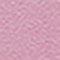 Pink Fuchsia