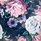 Vintage Bloom
