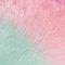 Rainbow Stripe