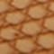 Brown Snake