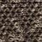 Morel
