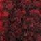 Red Buffalo