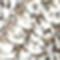 Birch Beige