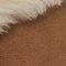 Chestnut