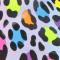 Lisa Frank