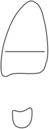 Stuart Size Chart