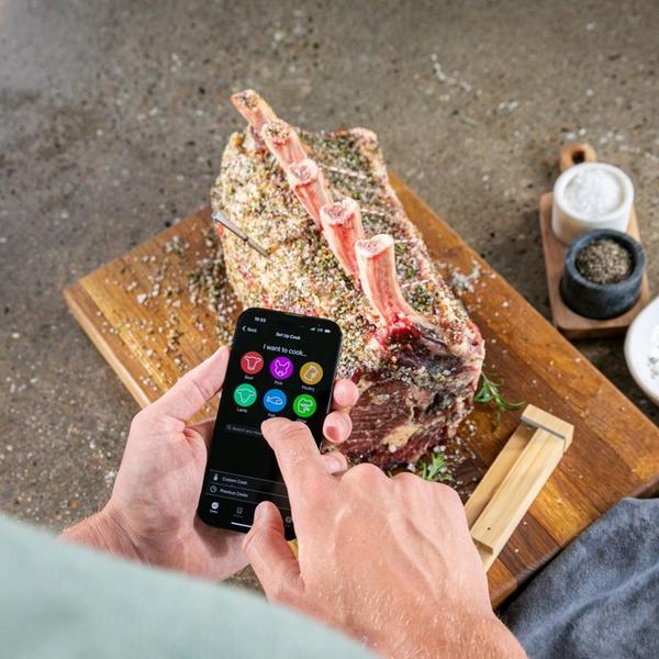 Traeger Meater Plus Wireless Meat Digital Thermometer RT1-MT-MP01 - The  Home Depot