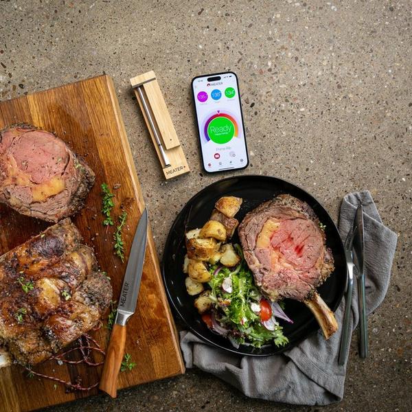 Traeger Meater Plus Wireless Meat Digital Thermometer RT1-MT-MP01 - The  Home Depot