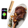 TRAEGER X MEATER® WIRELESS MEAT THERMOMETER 2-PACK – Oak and Iron Outdoor