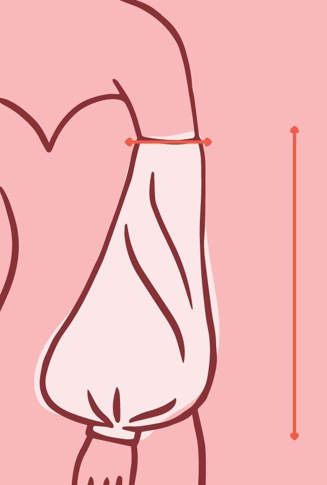 Size Guide Image