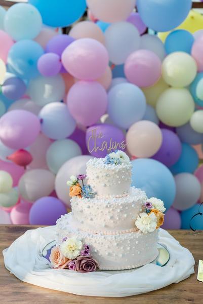 Amber & Cory's sweet pastel wedding cake