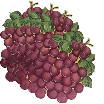 Carole Shiber Burgundy Grapes Placemats (Set of 4)