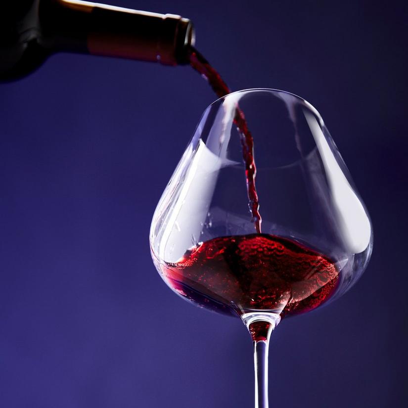 Wine Enthusiast Vienna Break-Resistant Pinot Noir Wine Glass