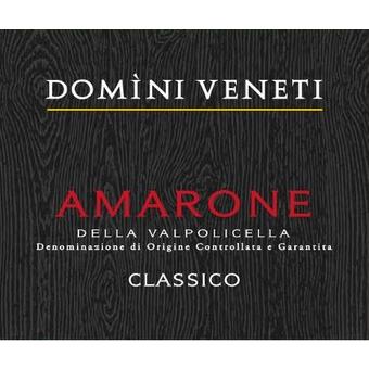 Domini Veneti 2019 Amarone Classico