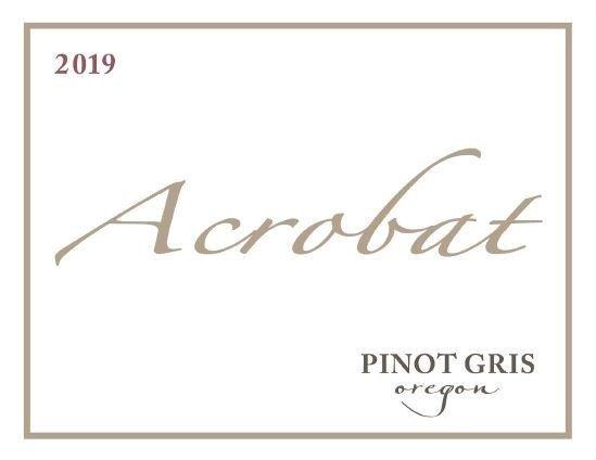 Acrobat 2019 Pinot Gris, Oregon