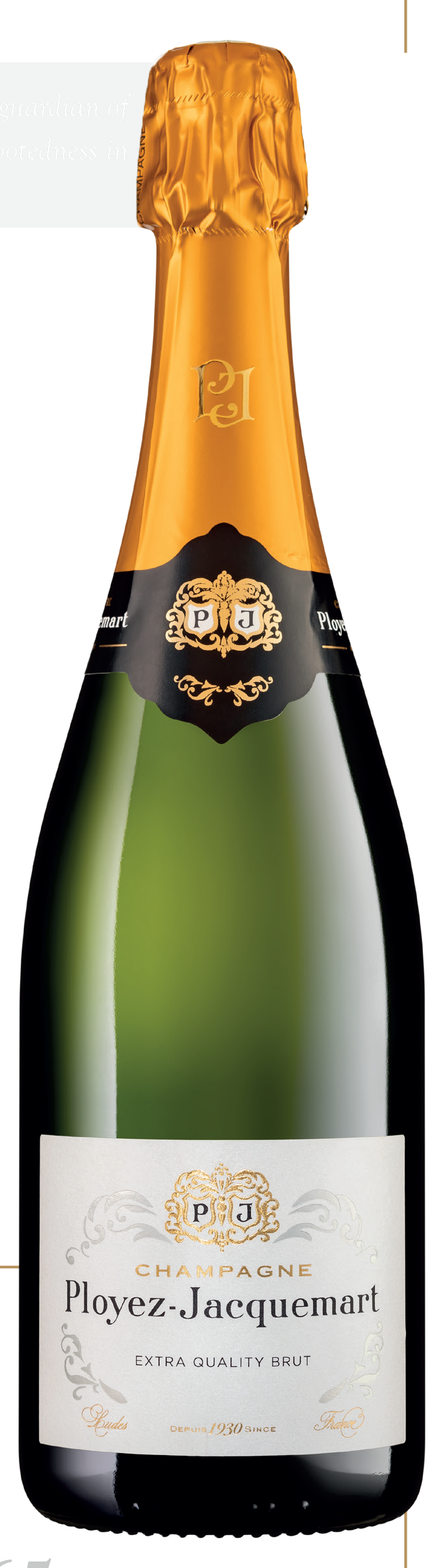 Ployez-Jacquemart NV Extra Quality Brut Champagne